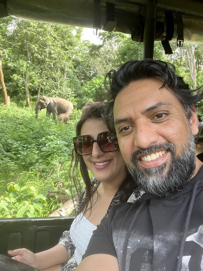 elephant right there