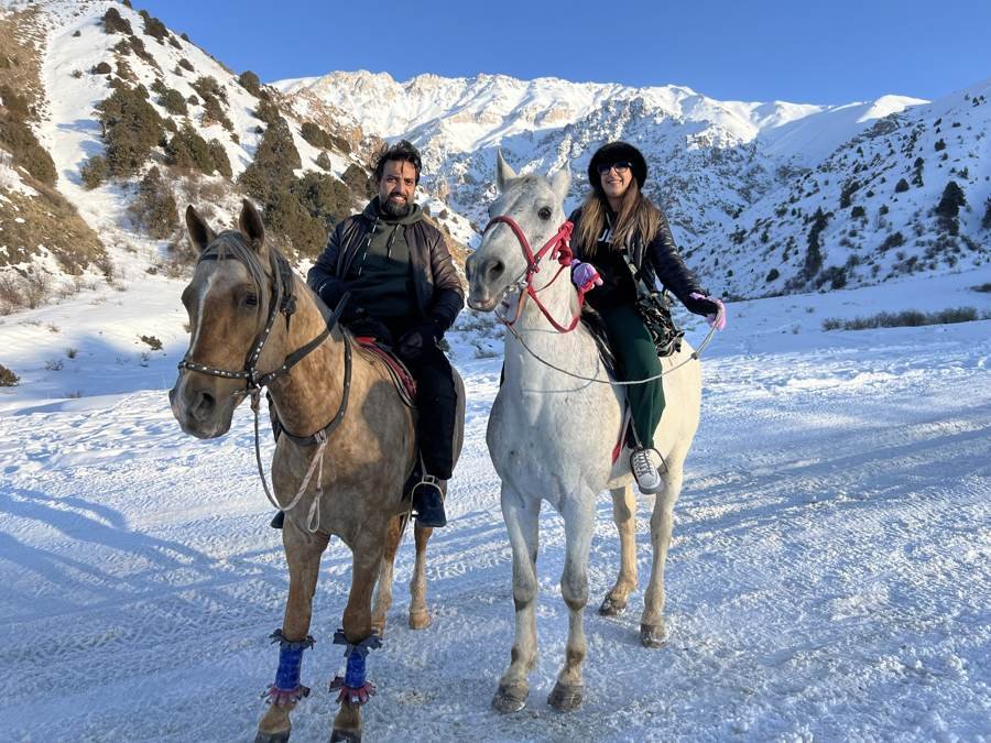 horses in the snow