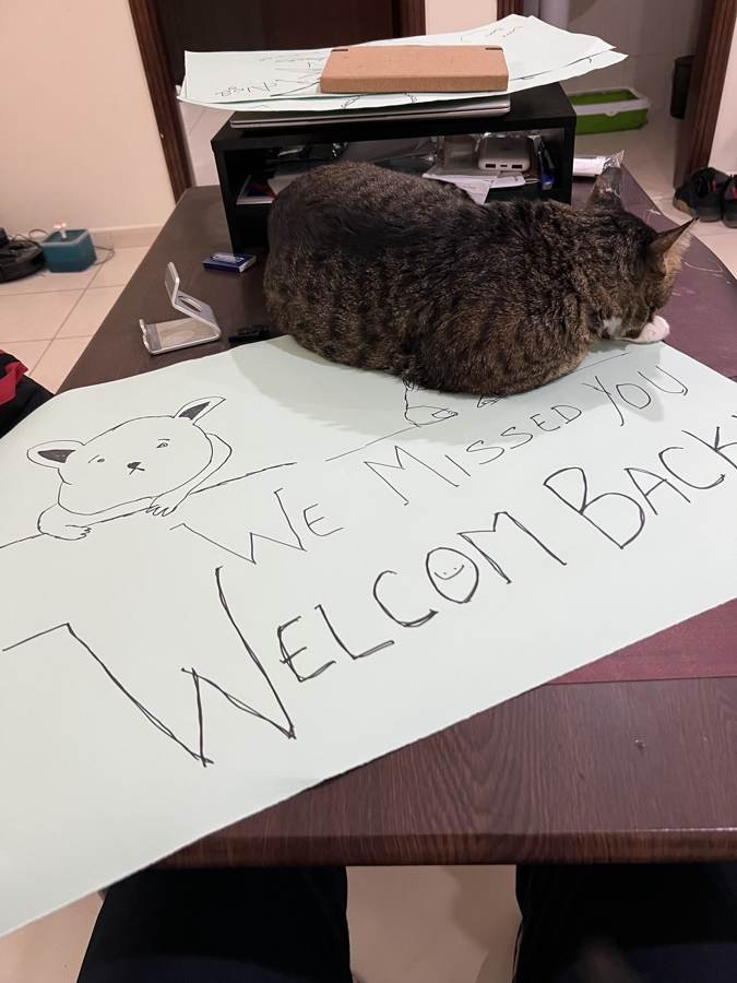 We missed you, welcome back