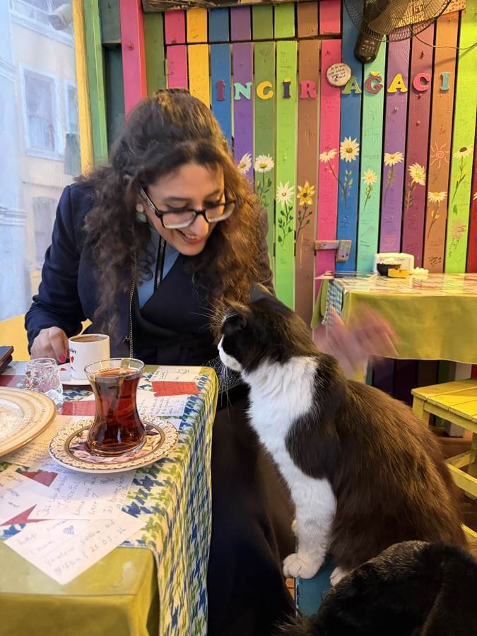 a cat joins tea